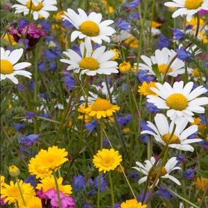 Meet your Posher, Jessinda